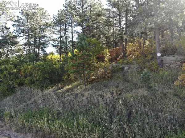 Oakdale TER, Palmer Lake, CO 80133