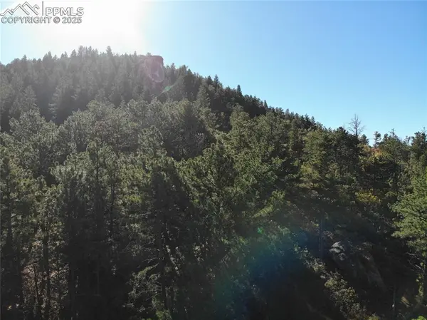 Oakdale TER, Palmer Lake, CO 80133