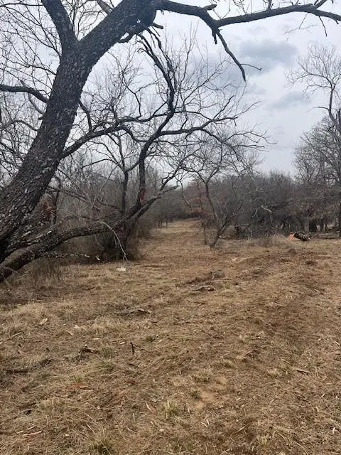 West 17 ac Burwick Road, Jacksboro, TX 76458