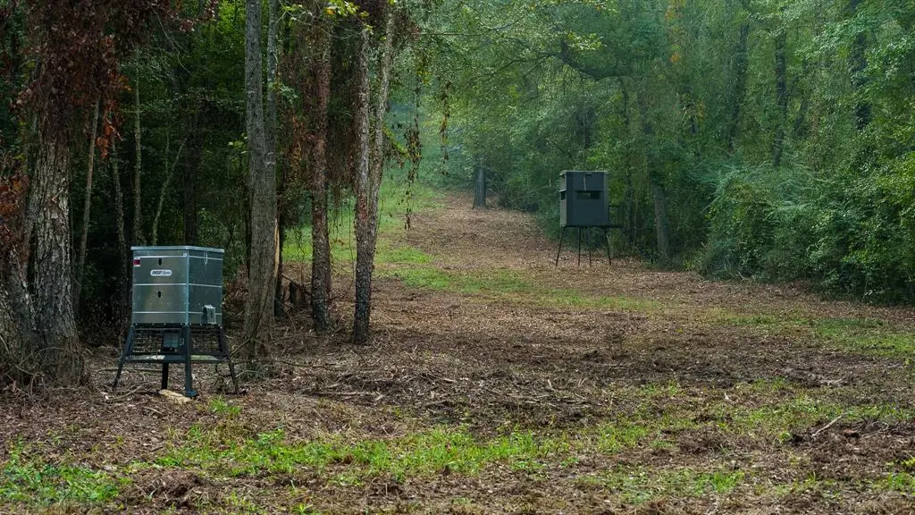 TBD C R 354, Winona, TX 75792