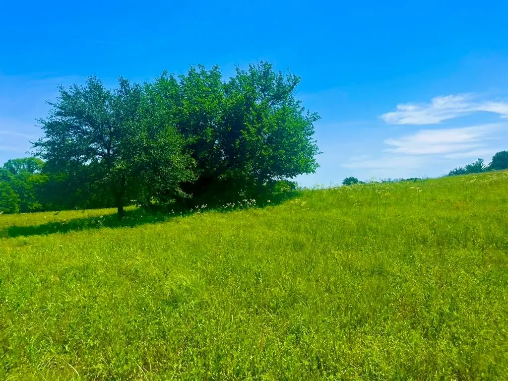 Lot 102 Arlow Road, Poolville, TX 76487