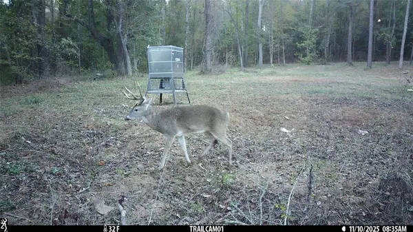 TBD C R 354, Winona, TX 75792