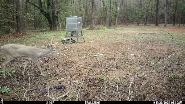 TBD C R 354, Winona, TX 75792