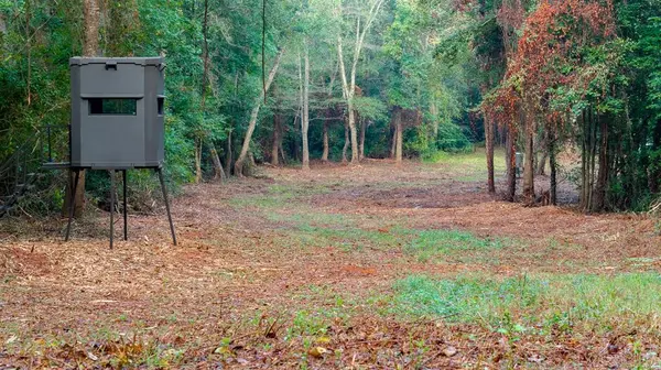 TBD C R 354, Winona, TX 75792