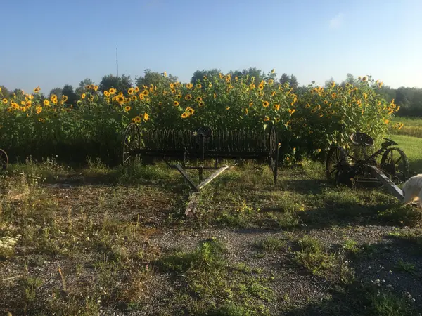 0 STAGECOACH RD, Greely - Metcalfe - Osgoode - Vernon And Area, ON K0A 2W0