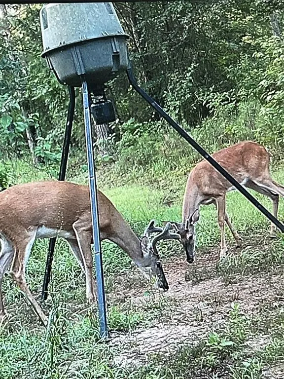 260 Circle M Road, Benton, LA 71006