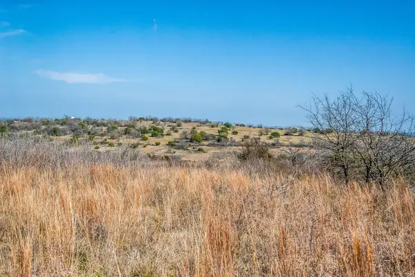 E 67 Acres TBD Upper Denton Road, Weatherford, TX 76085