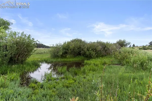 0 E Cherry Creek RD, Larkspur, CO 80118