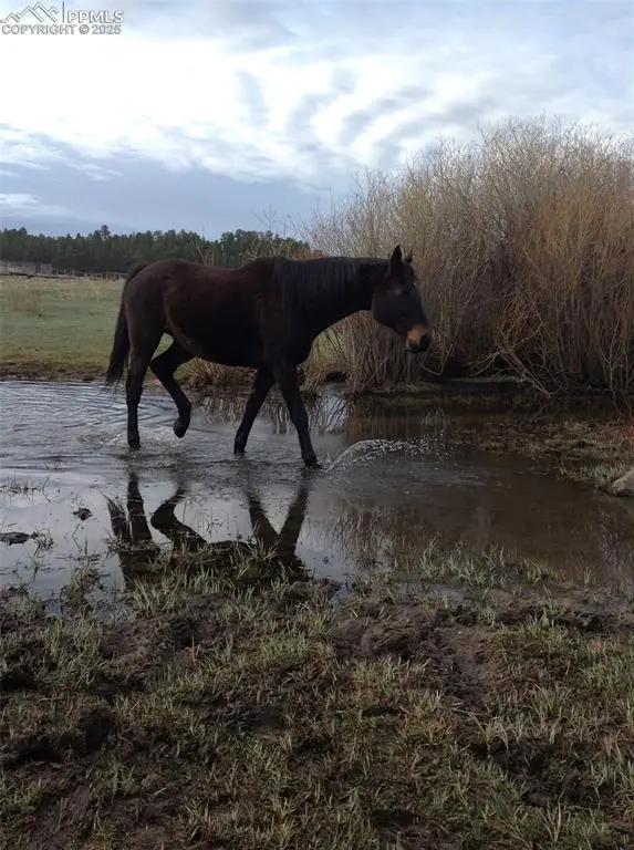 0 E Cherry Creek RD, Larkspur, CO 80118