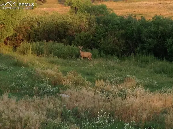 02 E Cherry Creek RD, Larkspur, CO 80118