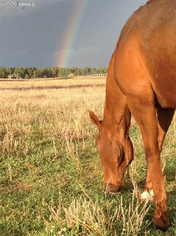 02 E Cherry Creek RD, Larkspur, CO 80118