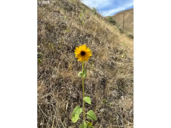 Huntington, OR 97907,32214 SNAKE RIVER RD