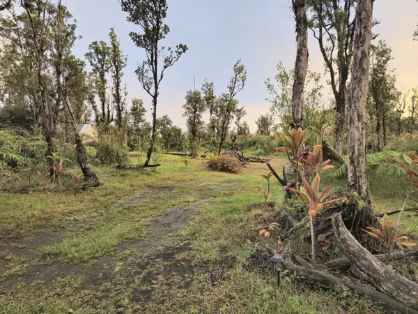 11-1772 PUNA WAI AVE, Mountain View, HI 96771