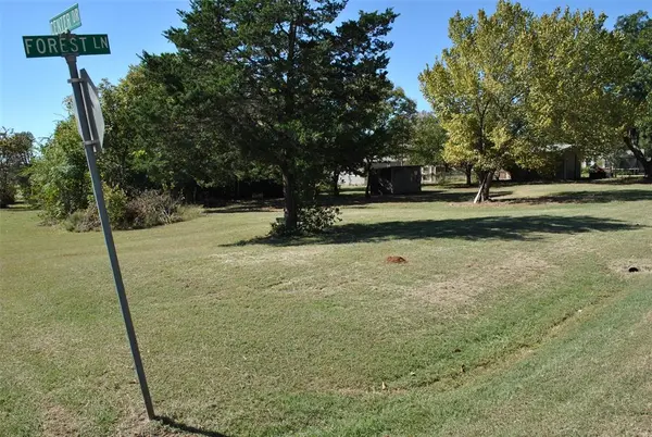Lots 255-261 & 266 forest Lane, Gordonville, TX 76245