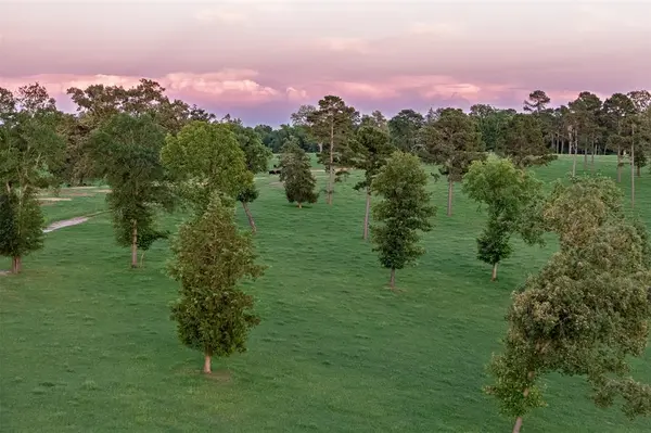 Gladewater, TX 75647,00 County Road 373