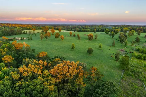 Gladewater, TX 75647,00 County Road 373