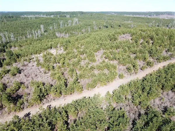 00 Off Hwy 517, Gibsland, LA 71028