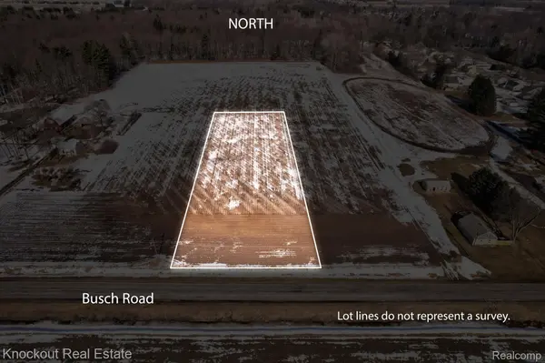 VL Busch (Parcel B) RD, Birch Run Township, MI 48415