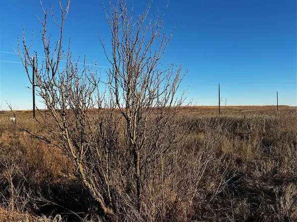 Lot 32 High Plains Trail, Bellevue, TX 76228