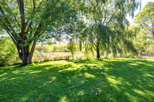 19826 Highway 12 HWY, Scugog, ON L0C 1B0