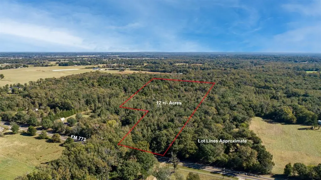 10081 fm 773, Ben Wheeler, TX 75754