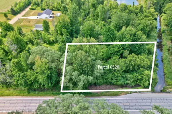 VL 0320 BIRCH RUN, Arbela Twp, MI 48746