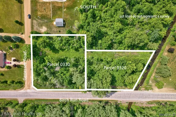 VL 0330 BIRCH RUN RD AT GENESEE RD, Arbela Township, MI 48746