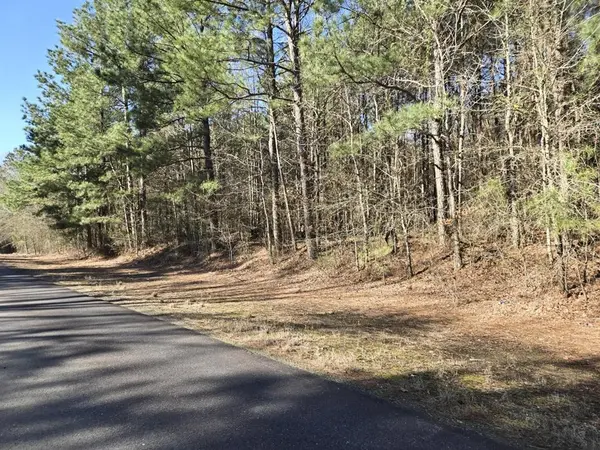 10040 Cook Road, Bethany, LA 71007