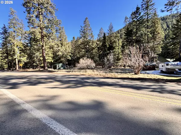 Joseph, OR 97846,60037 WALLOWA LAKE HWY