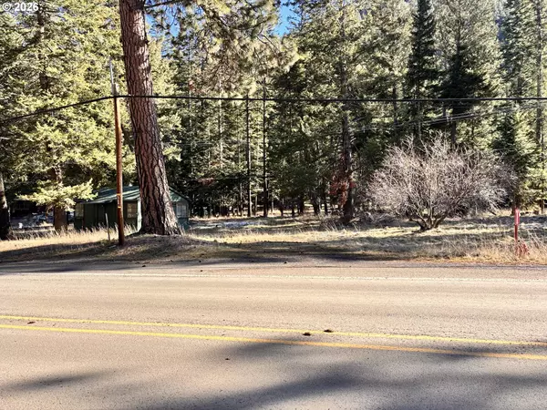 Joseph, OR 97846,60037 WALLOWA LAKE HWY