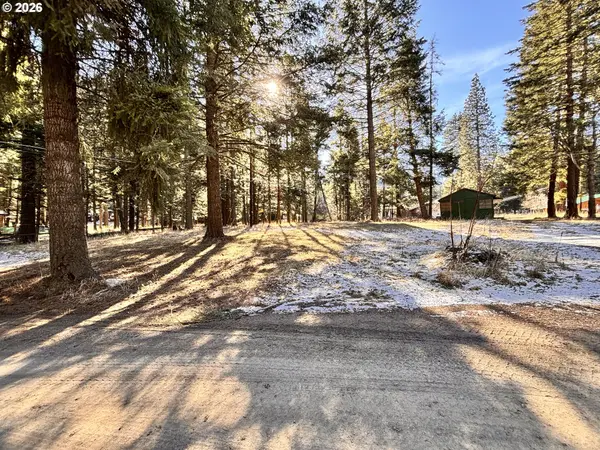 60037 WALLOWA LAKE HWY, Joseph, OR 97846