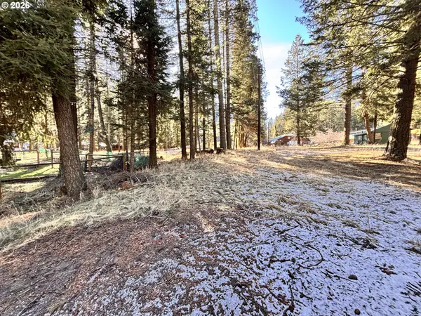 60037 WALLOWA LAKE HWY, Joseph, OR 97846