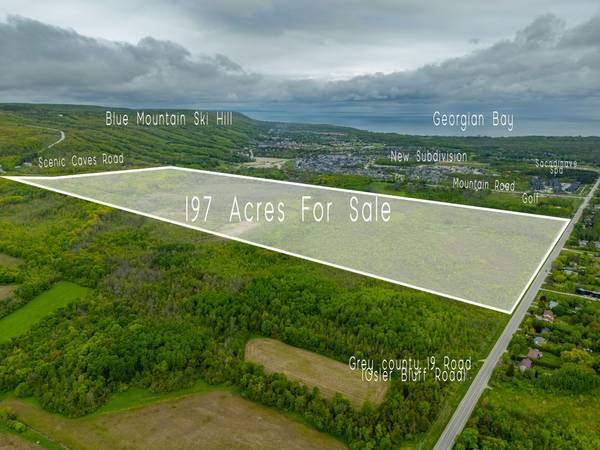 000 Grey County 19 RD, Blue Mountains, ON L9Y 0N5