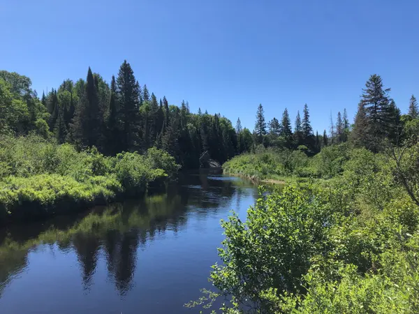 140 Machar River RD, Machar, ON P0A 1X0