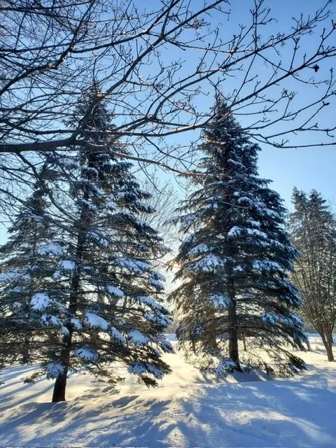 19572 Centre ST, East Gwillimbury, ON L0G 1M0