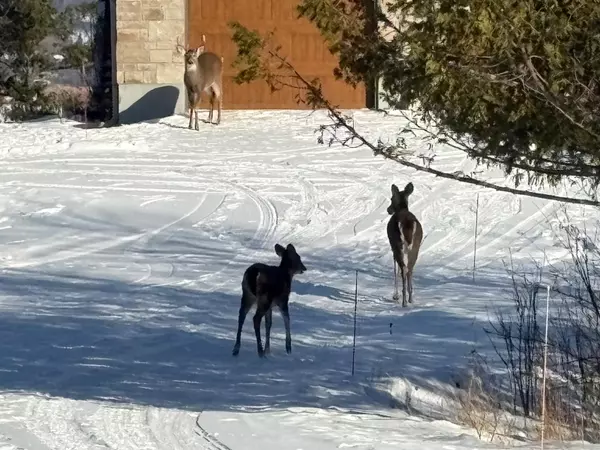 Constance Bay - Dunrobin - Kilmaurs - Woodlawn, ON K0A 1T0,3024 Stoneridge RD