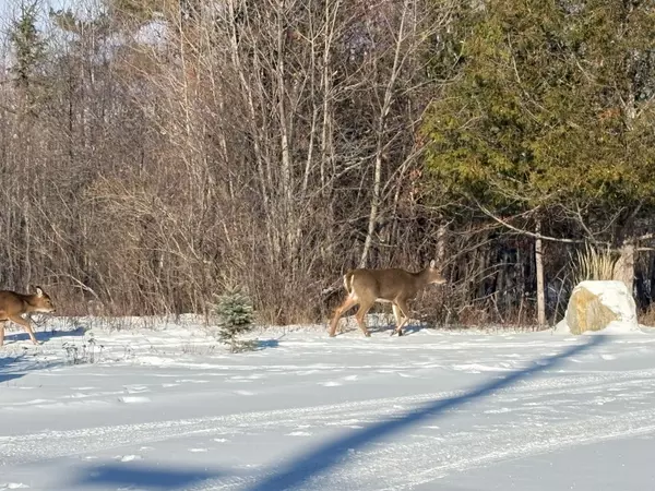 Constance Bay - Dunrobin - Kilmaurs - Woodlawn, ON K0A 1T0,3024 Stoneridge RD