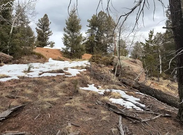 84 Point View CIR, Florissant, CO 80816