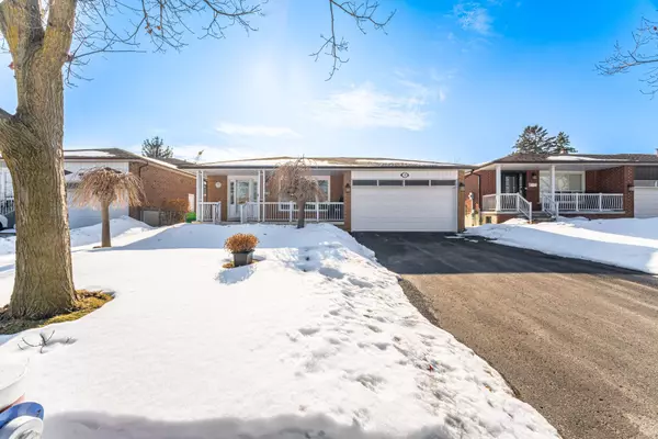 17 Malcolm CRES, Brampton, ON L6S 3C7