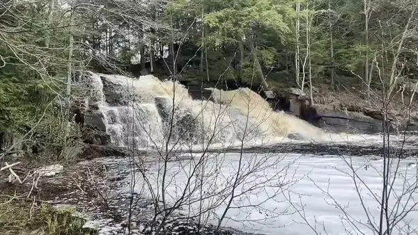 Gravenhurst, ON P1P 1R1,1033 North Shore DR