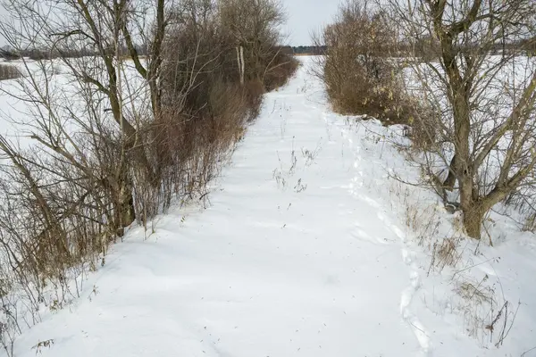 1610 Colborne ST E, Brant, ON N3T 5L4