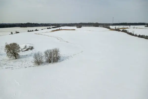 1610 Colborne ST E, Brant, ON N3T 5L4