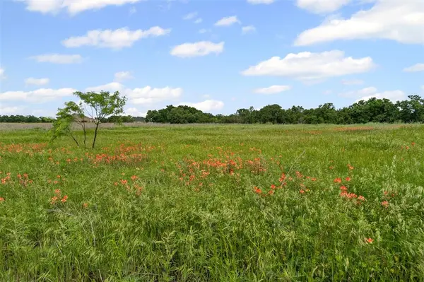 3012 Haylee Drive, Granbury, TX 76048