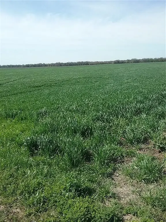 TBD Dale Acres Road, Milford, TX 76670