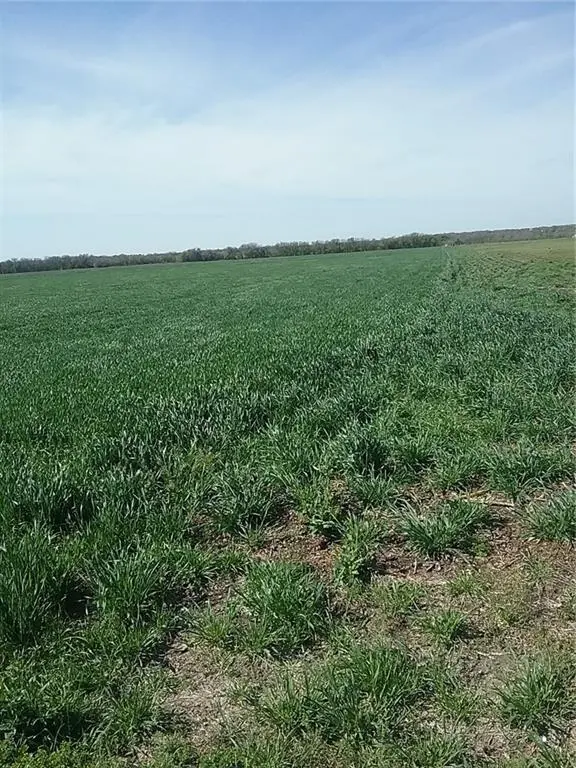 TBD Dale Acres Road, Milford, TX 76670