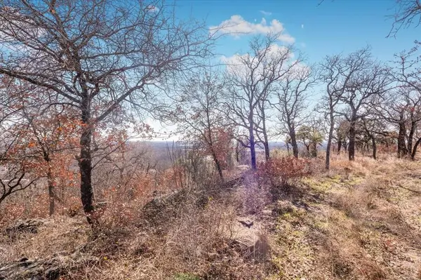 53 Ac Travis Drive, Mineral Wells, TX 76067