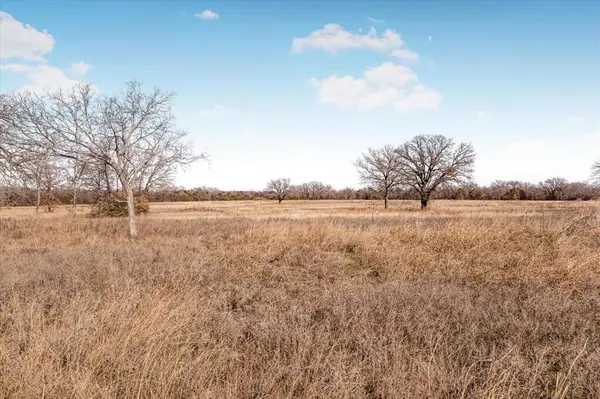 53 Ac Travis Drive, Mineral Wells, TX 76067