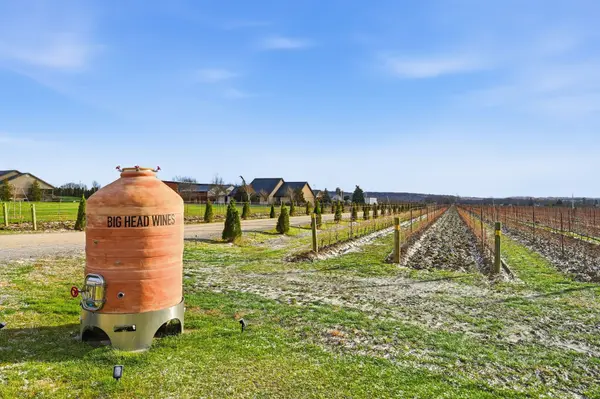 823 6 Line, Niagara-on-the-lake, ON L0S 1J0