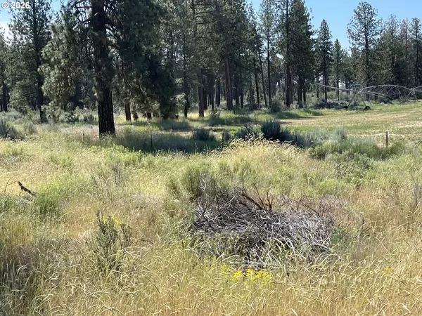 Chiloquin, OR 97624,S. Chiloquin Road #100