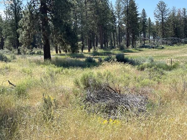 S. Chiloquin Road #100, Chiloquin, OR 97624